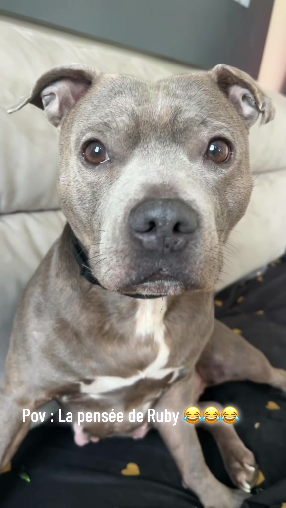 @rubylove_staffie94