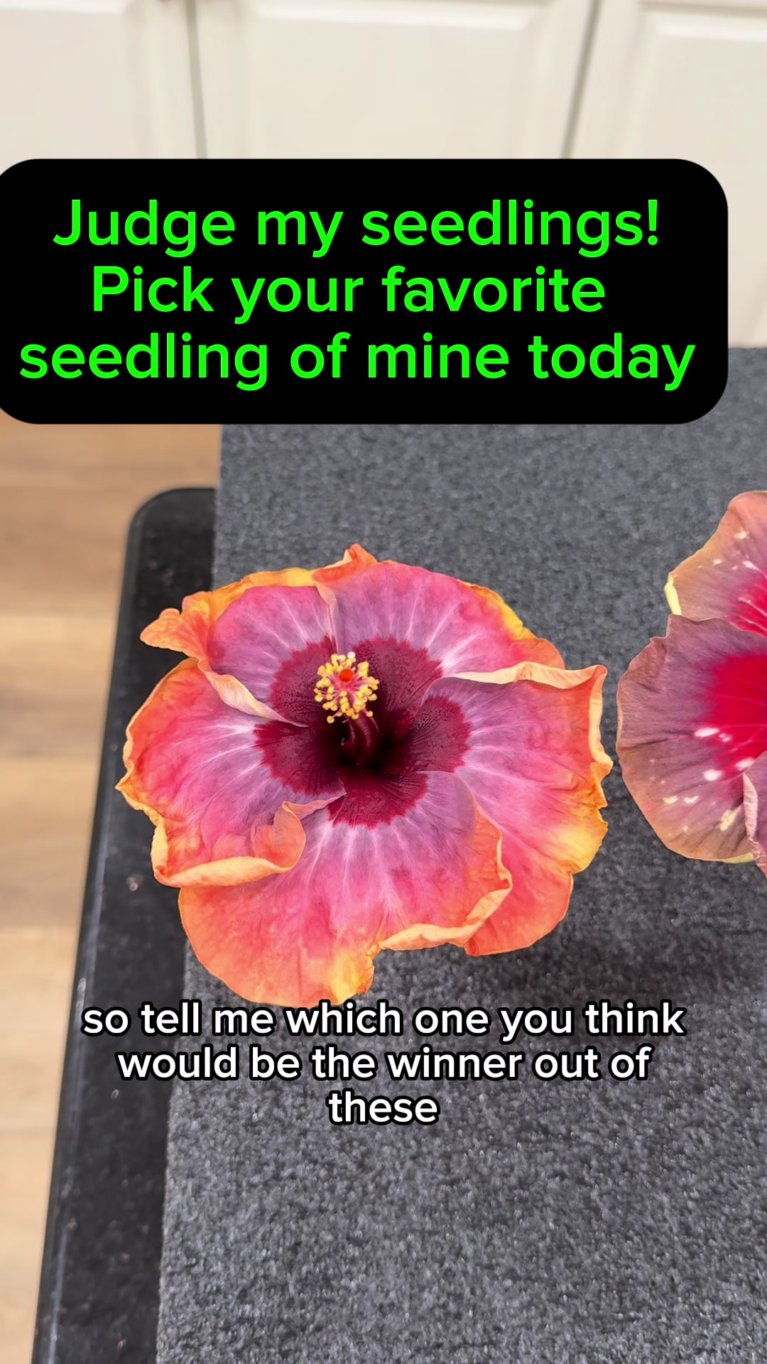 @Todd.Alvis