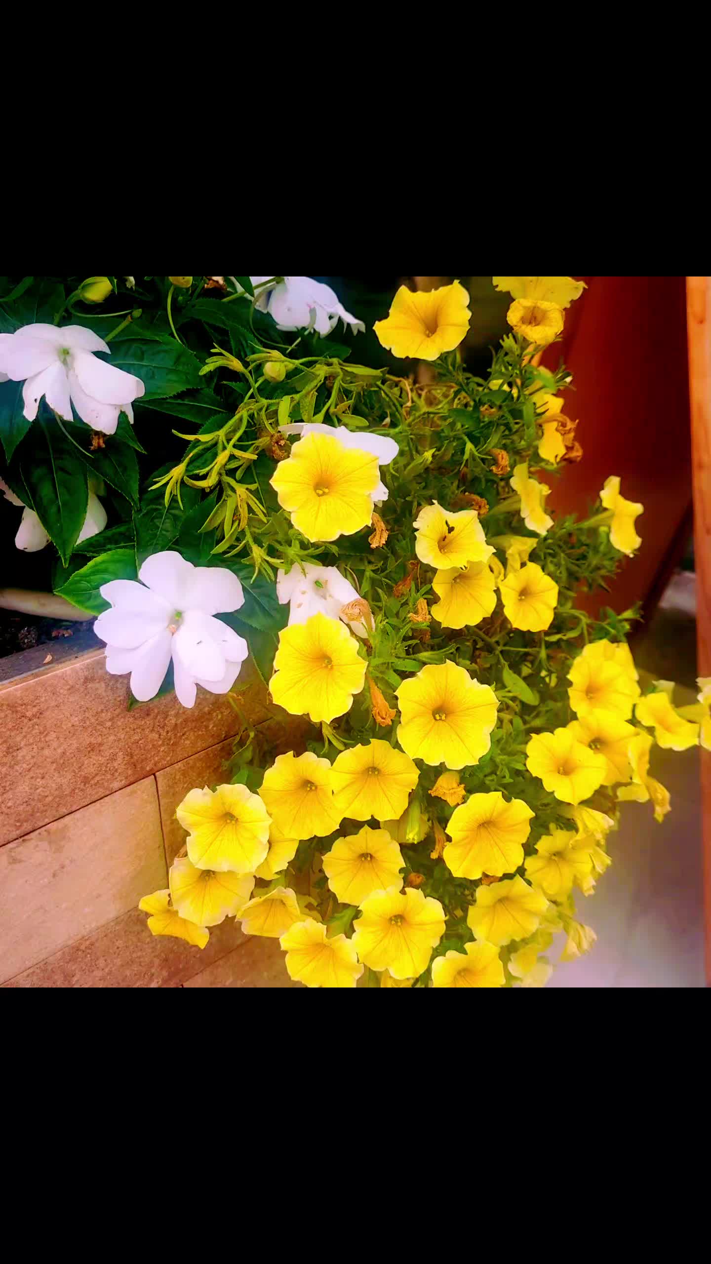 @Sri harshini