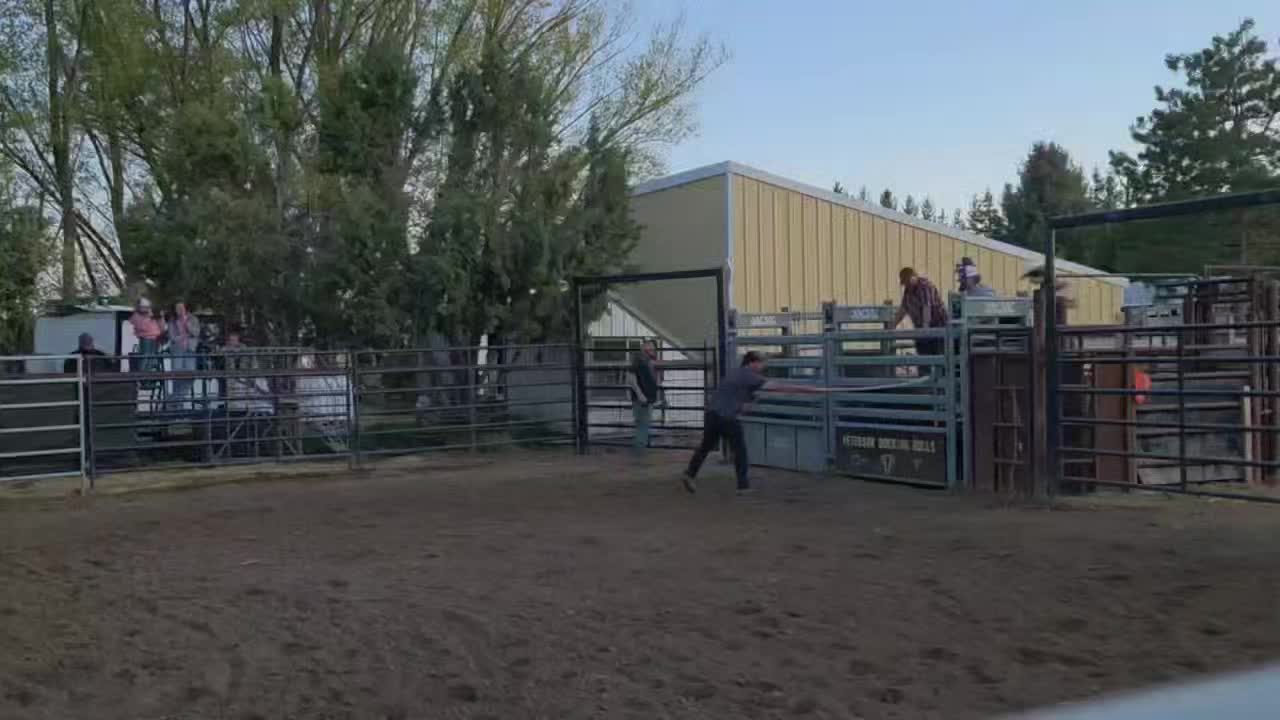@B&G Bucking Bulls
