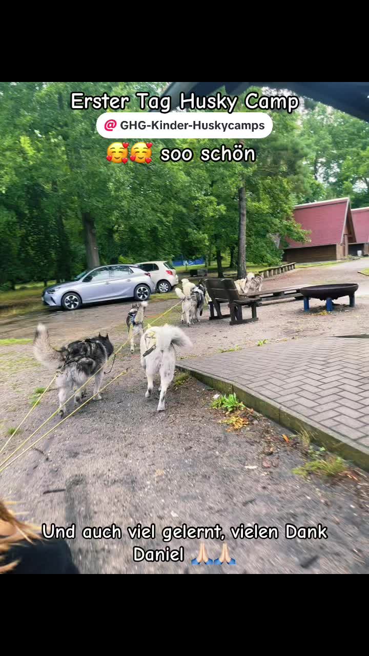 @Lenis-Hundewelt 🐾🐾