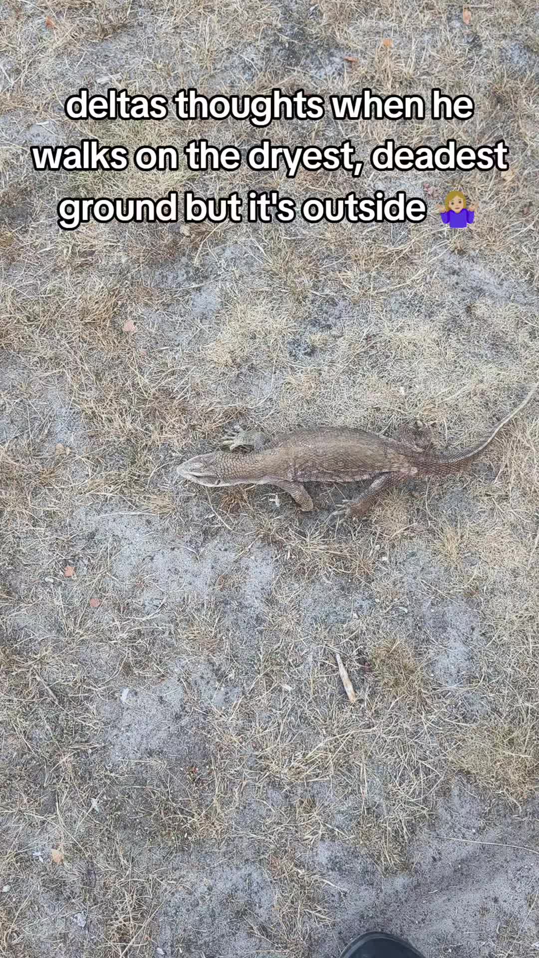 @Bestiesbeasties