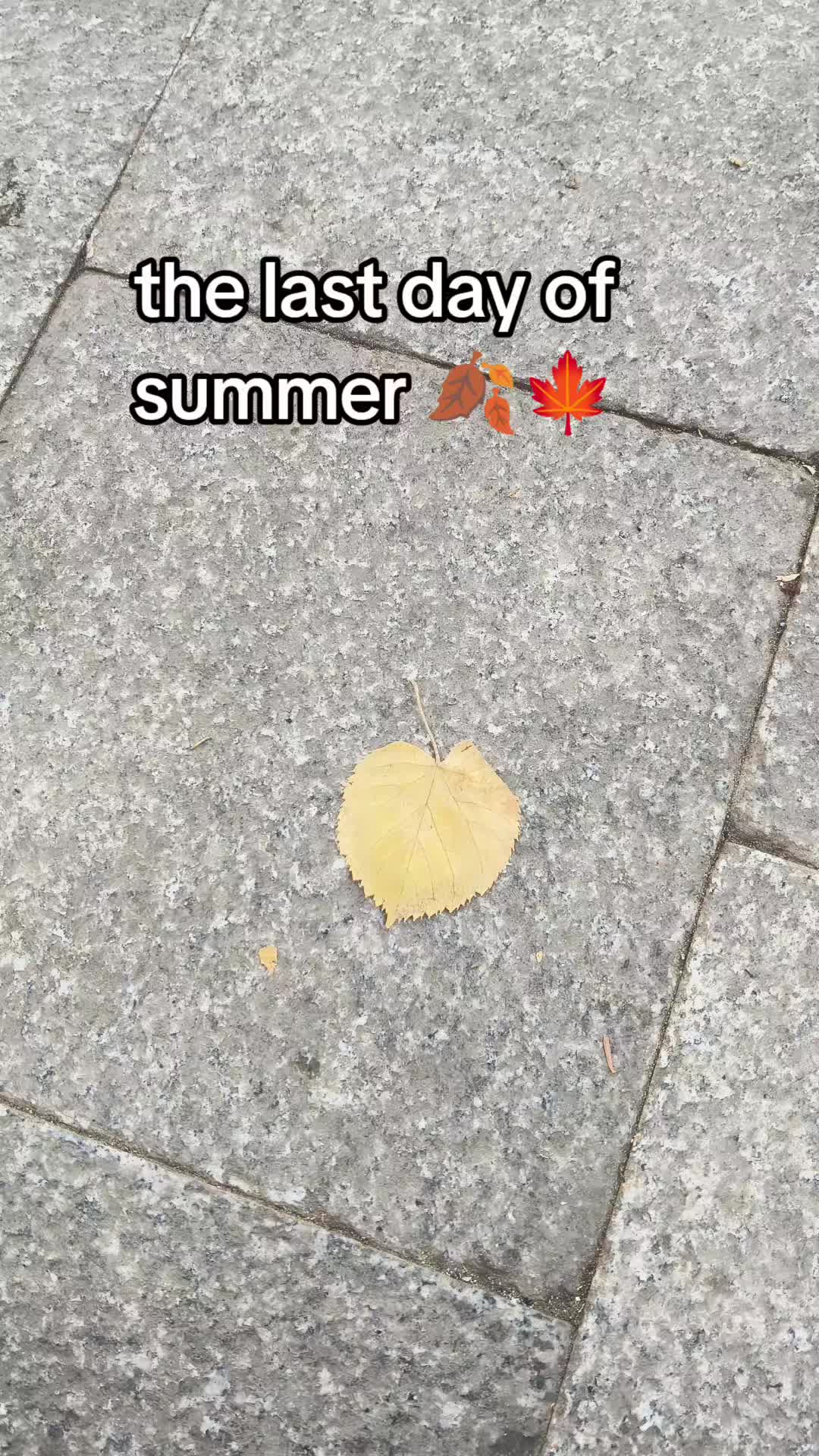 @MiniStarMedia