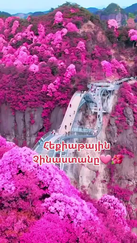 @FRANCE 🇫🇷 ARMENIA 🇦🇲