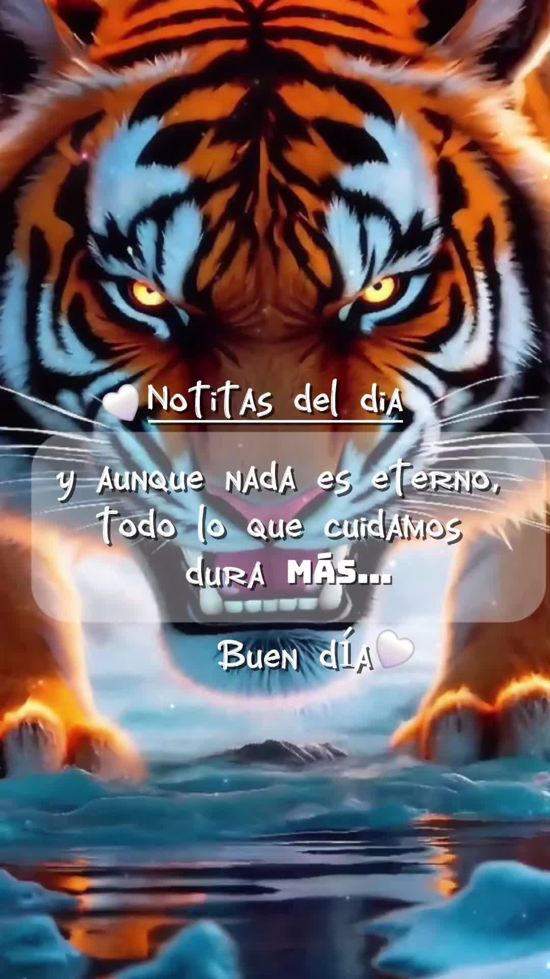 @La Señora de Tampa .