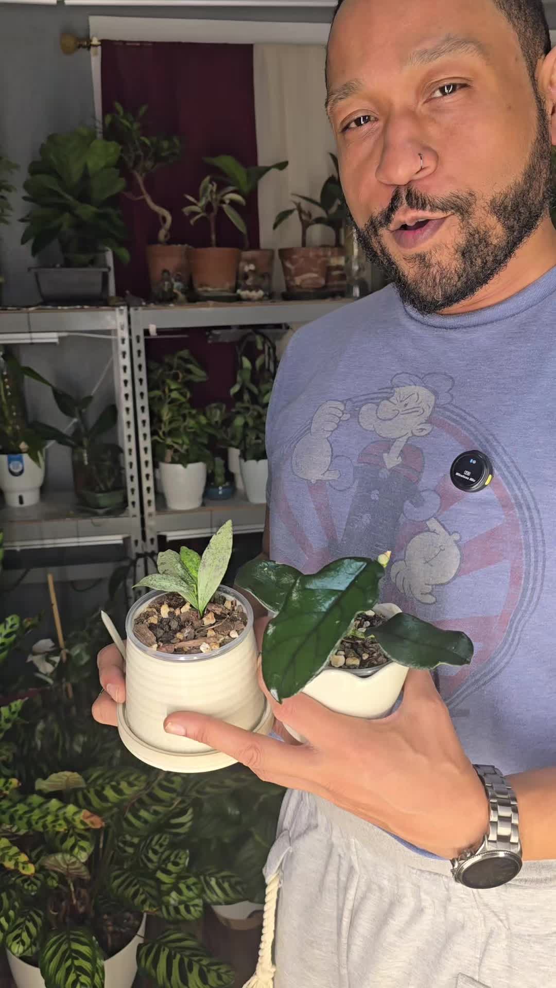 @JT - BigEGOPlants