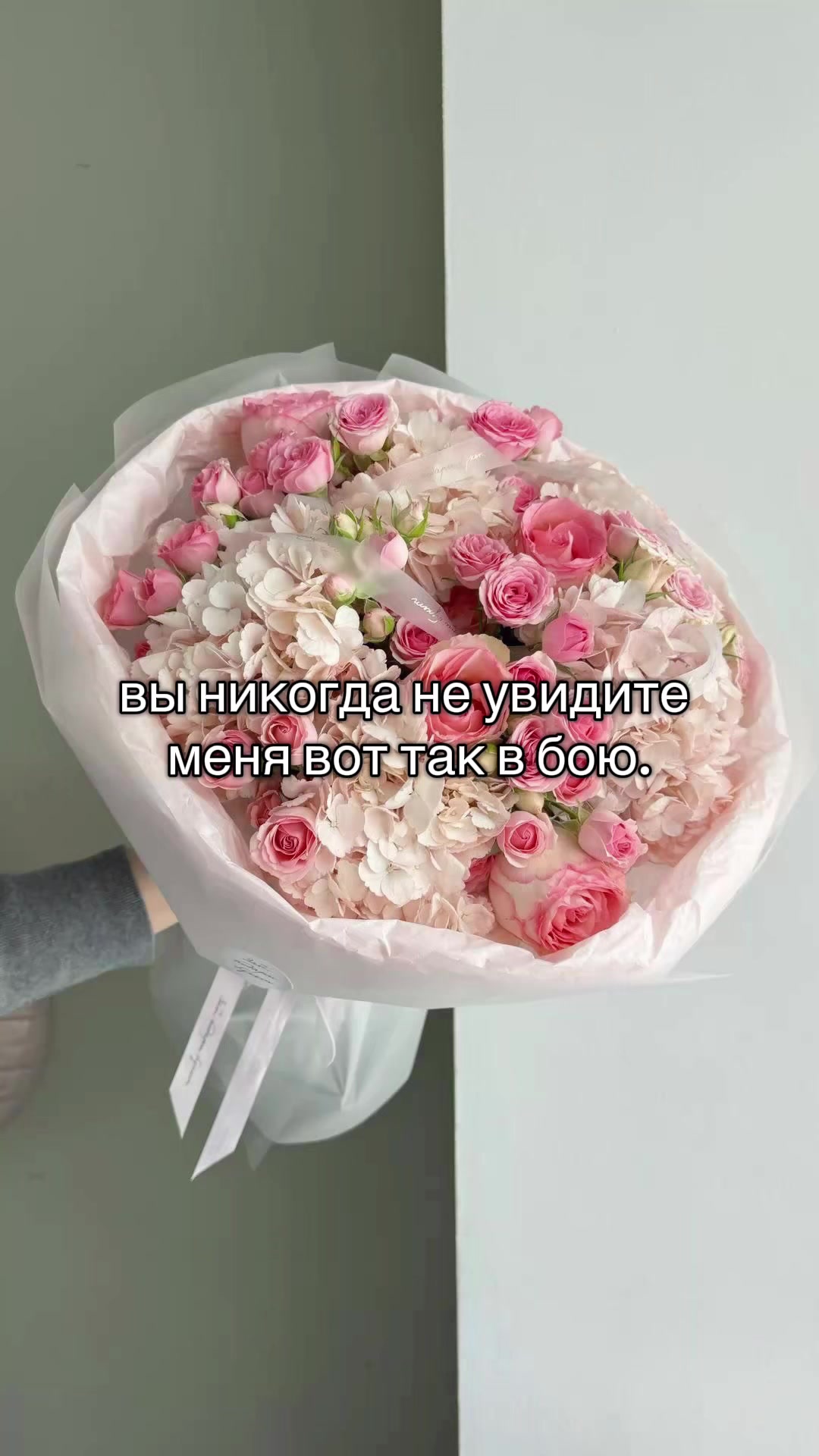 @DashaPupsik🐒