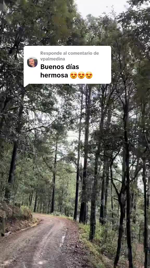 @Ana