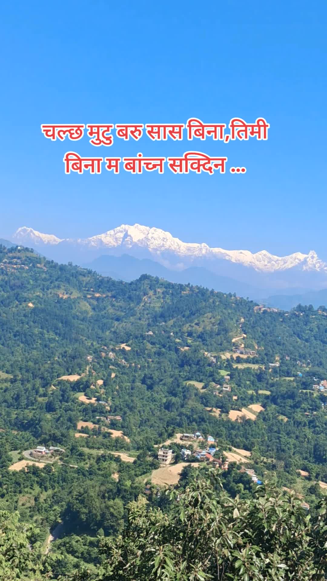 @ङौसार
