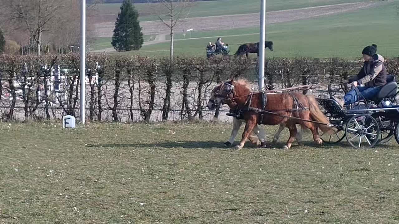 @💞🐴 Madeleine 🐴💞