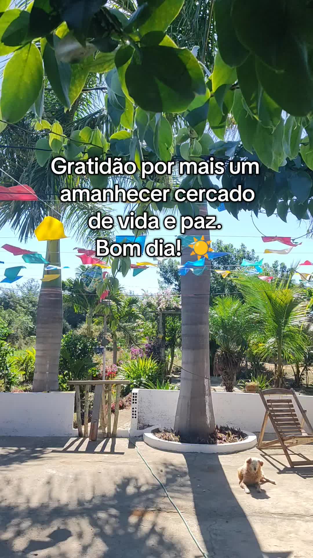 @Sítio Flor de Maria