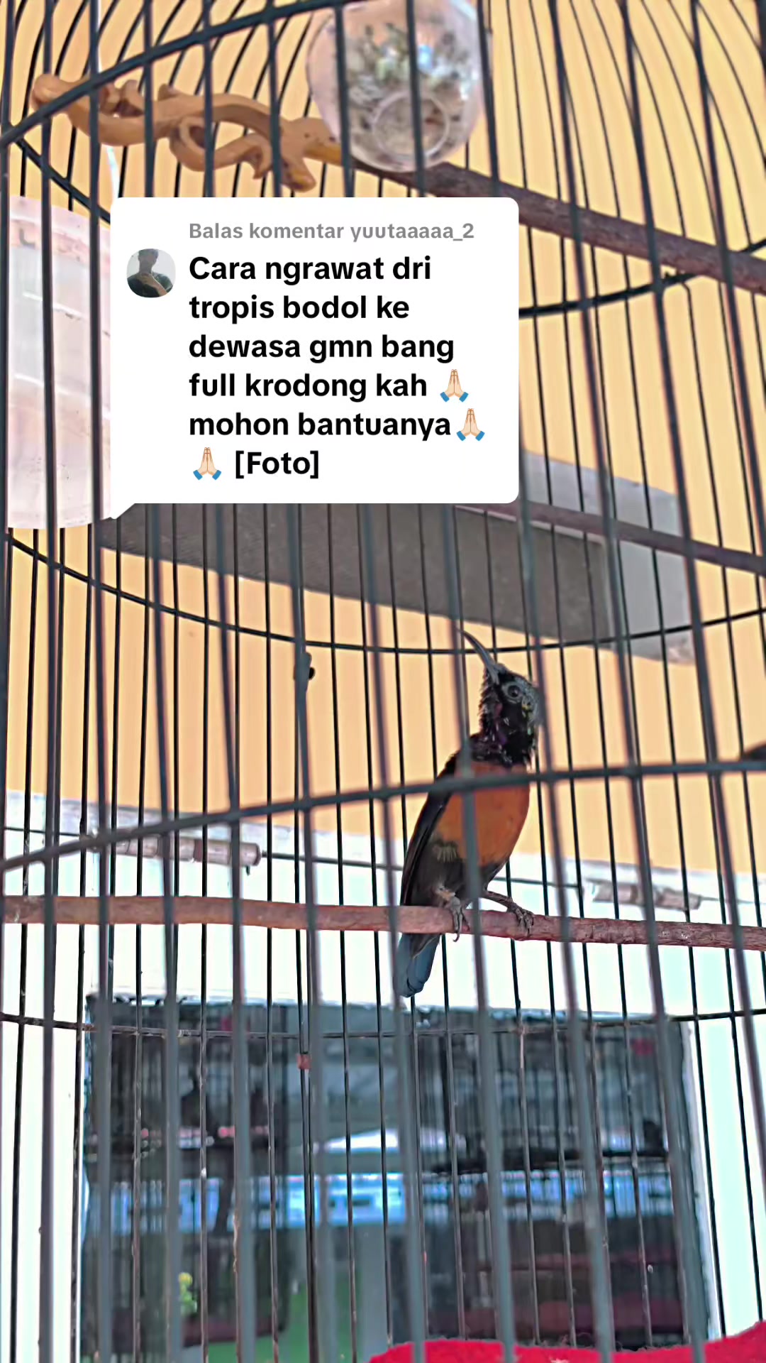 @banjarrayasquad