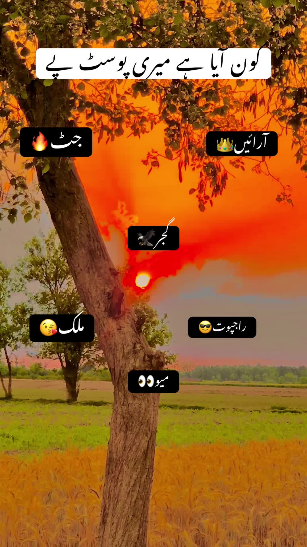 @🌾🌱پنجابی کلچر 🌾🌱
