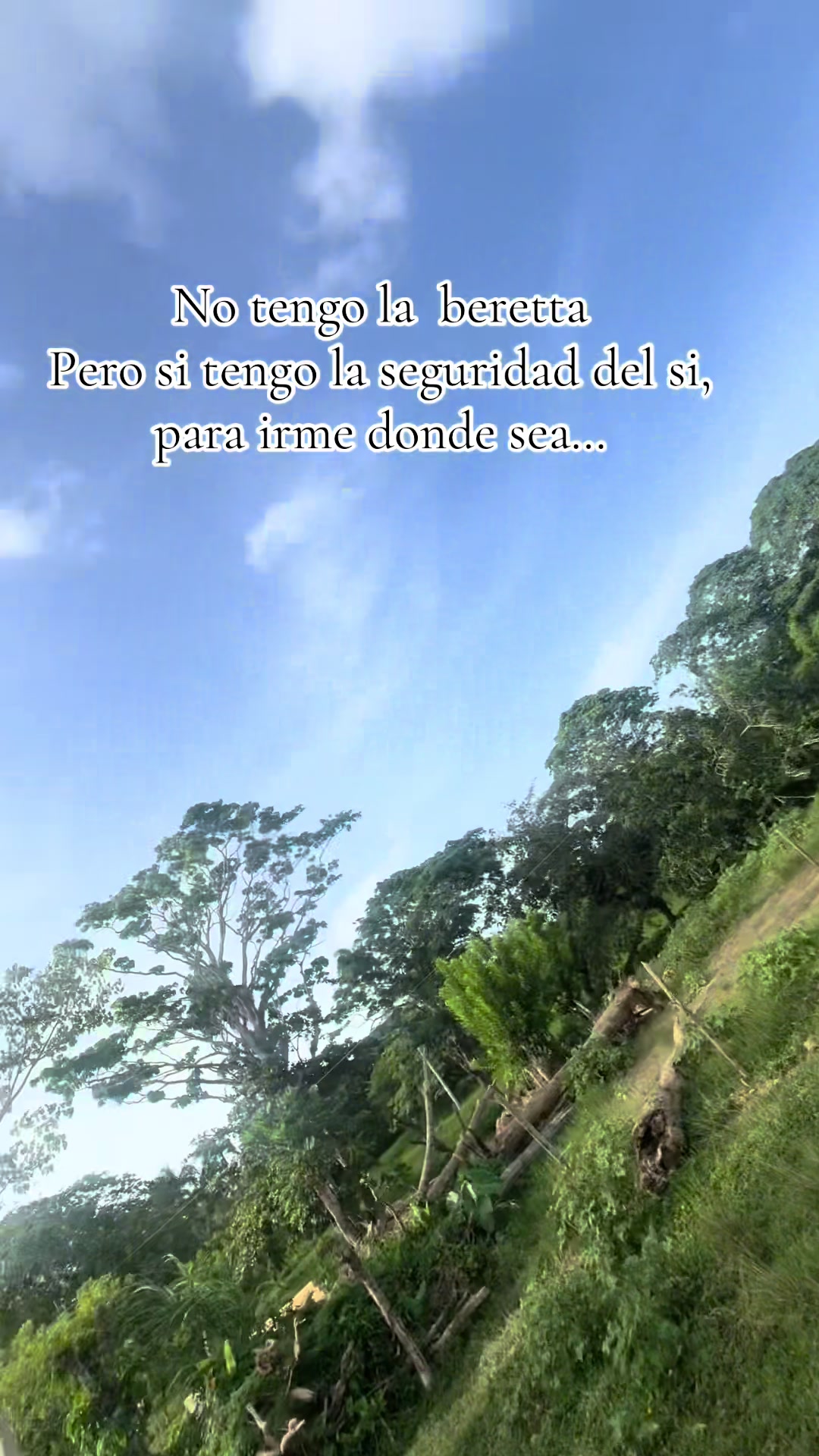 @Carolay Tineo