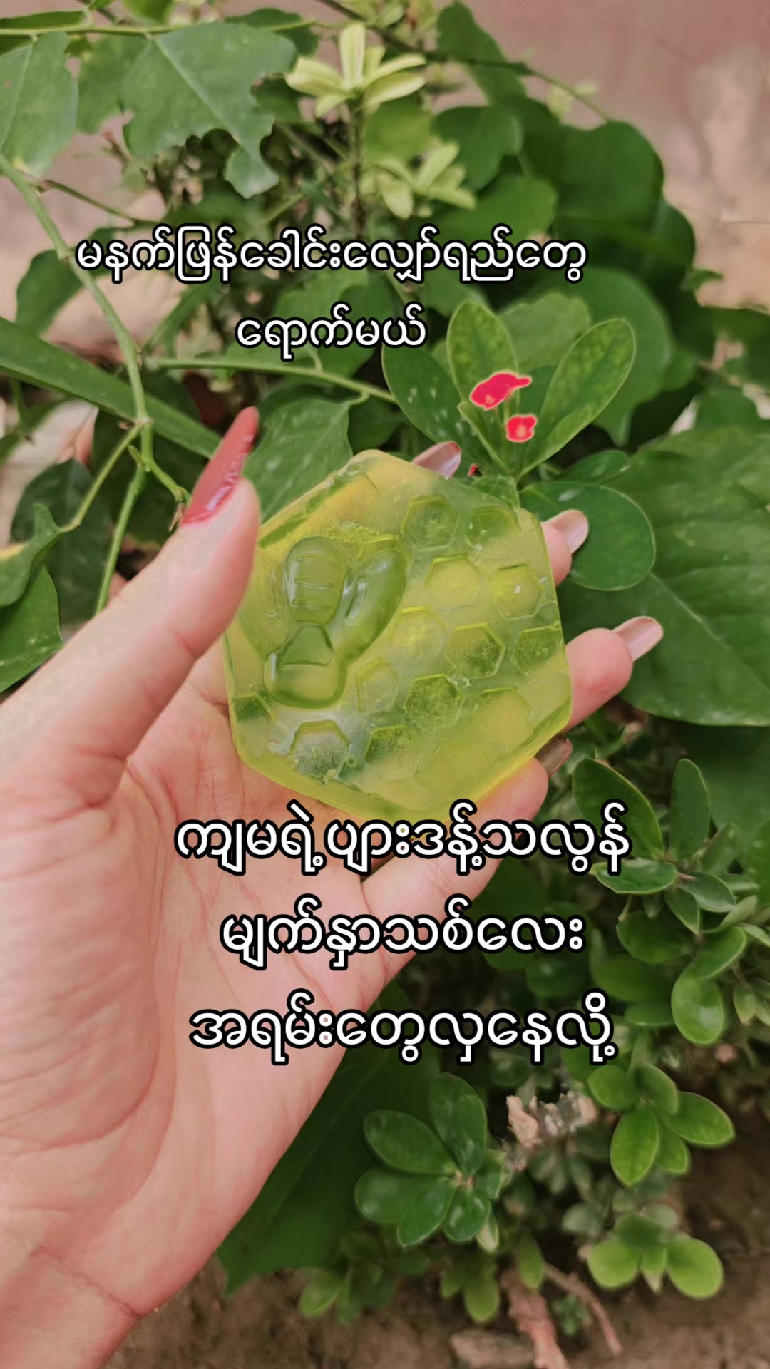 @🌿🕊️Kÿî Pyâr(1.9M)🕊️🌿