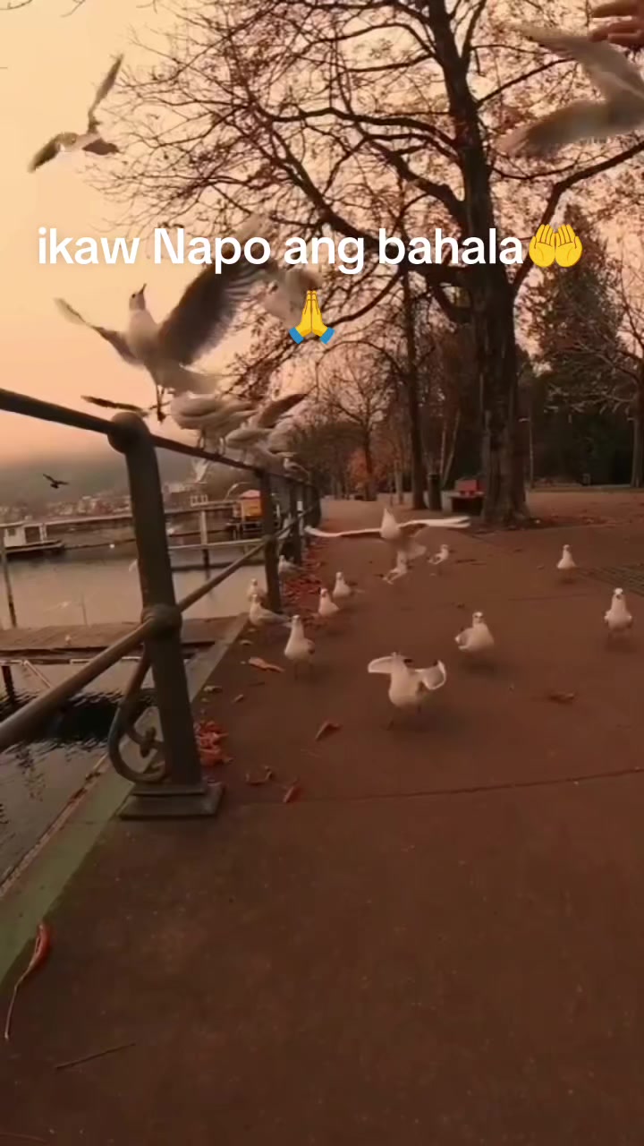 @SunsetQueen
