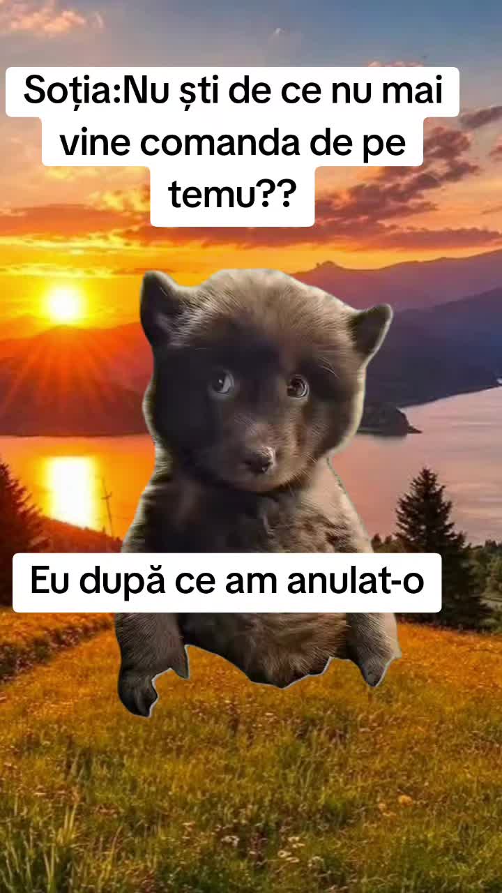 @Irimia Vasilică