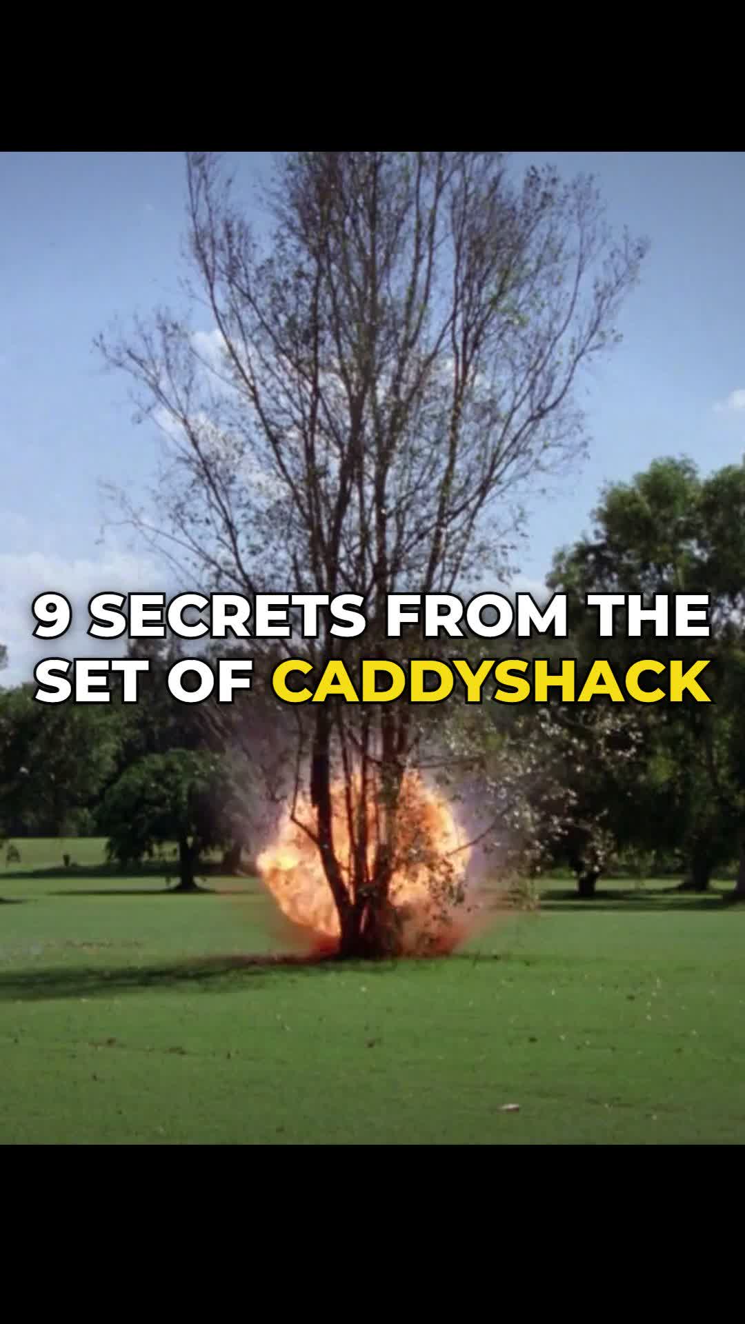 @CelebsRank