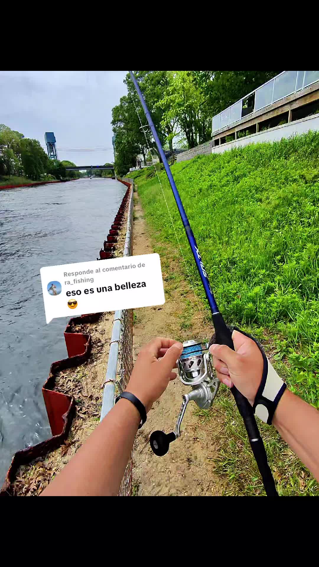 @Pescador🎣🦈