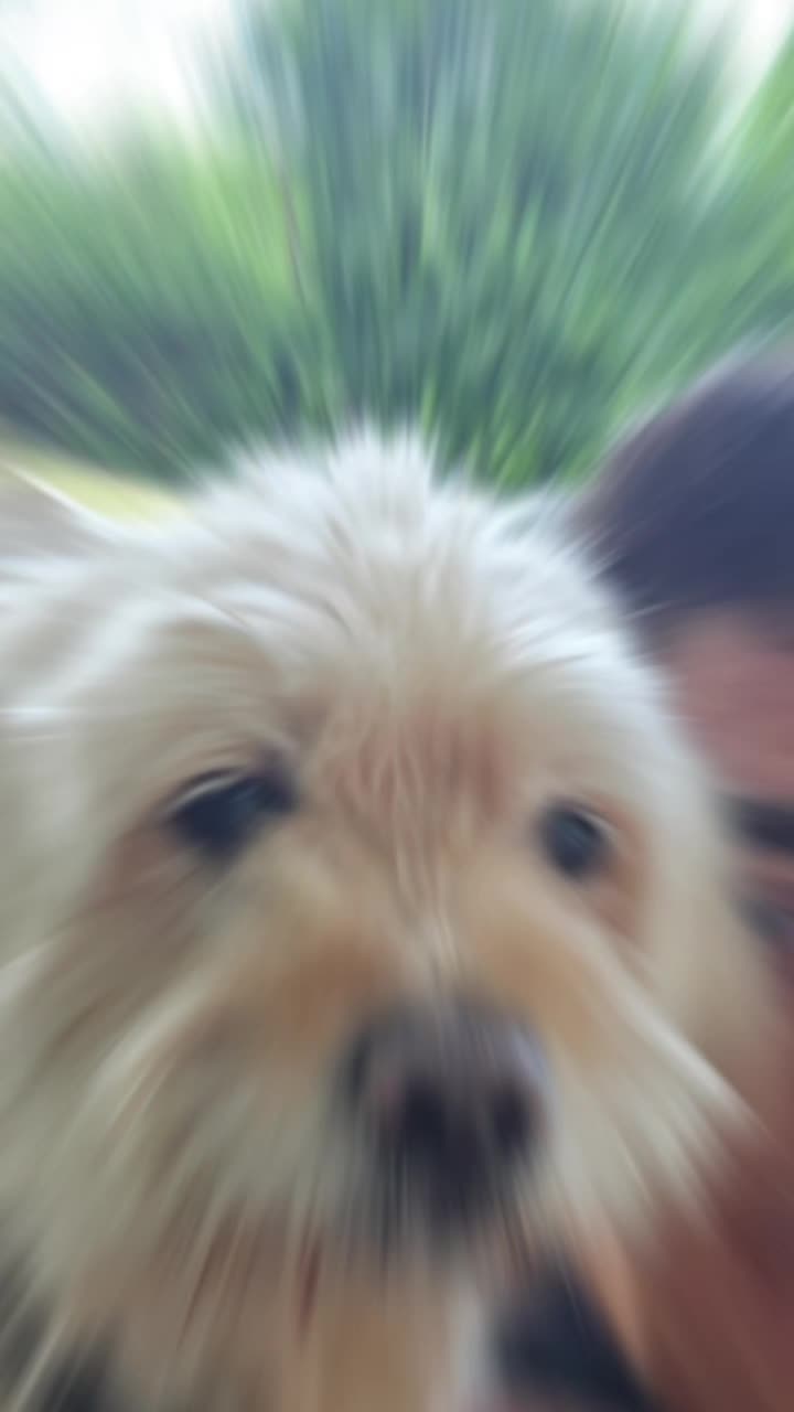 @๐ถ๐ป๐ผ๐๐ด๐ท๐๐