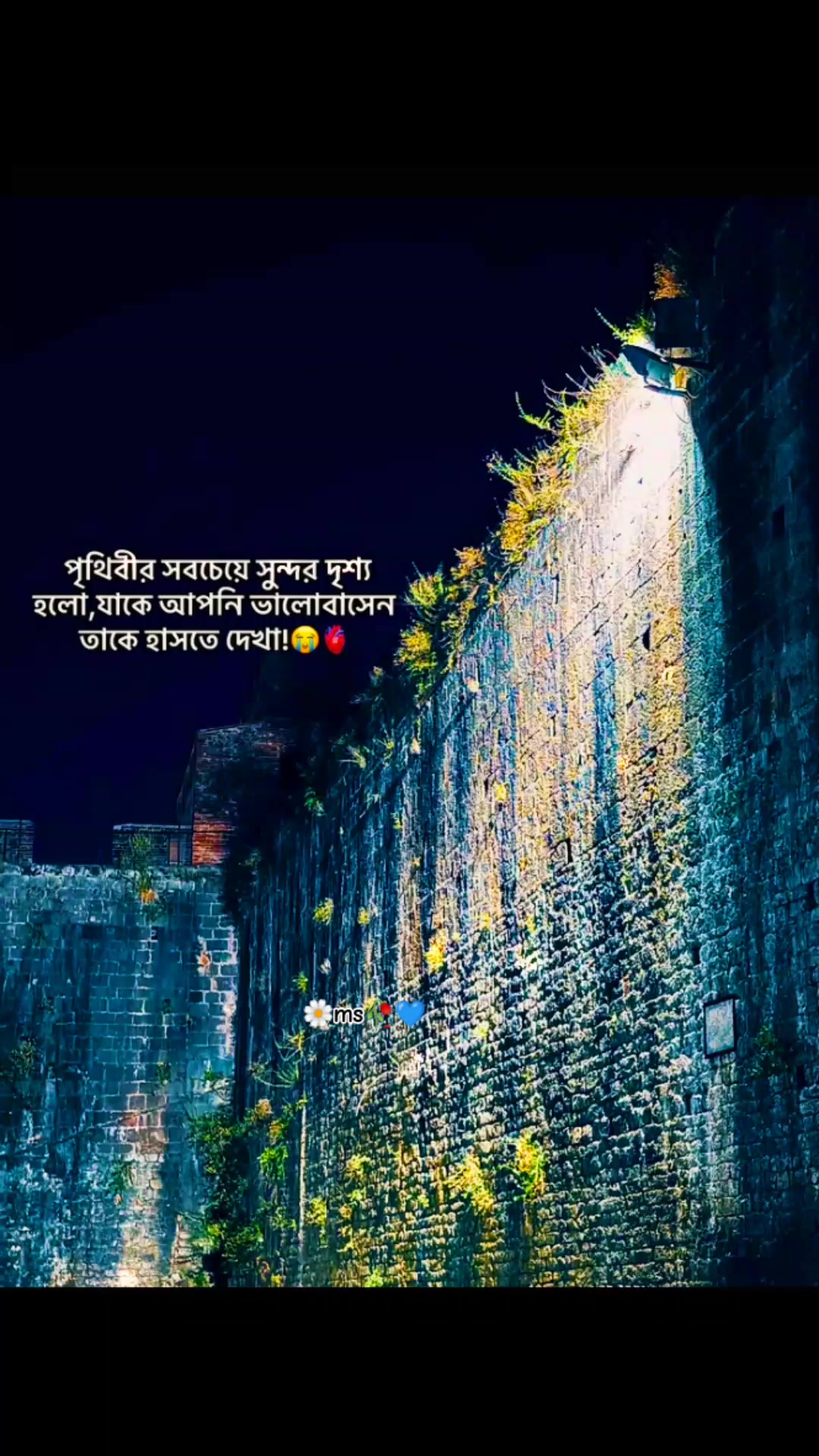 @মিথ্যা হাসির অপূর্ব মায়াツ🌿
