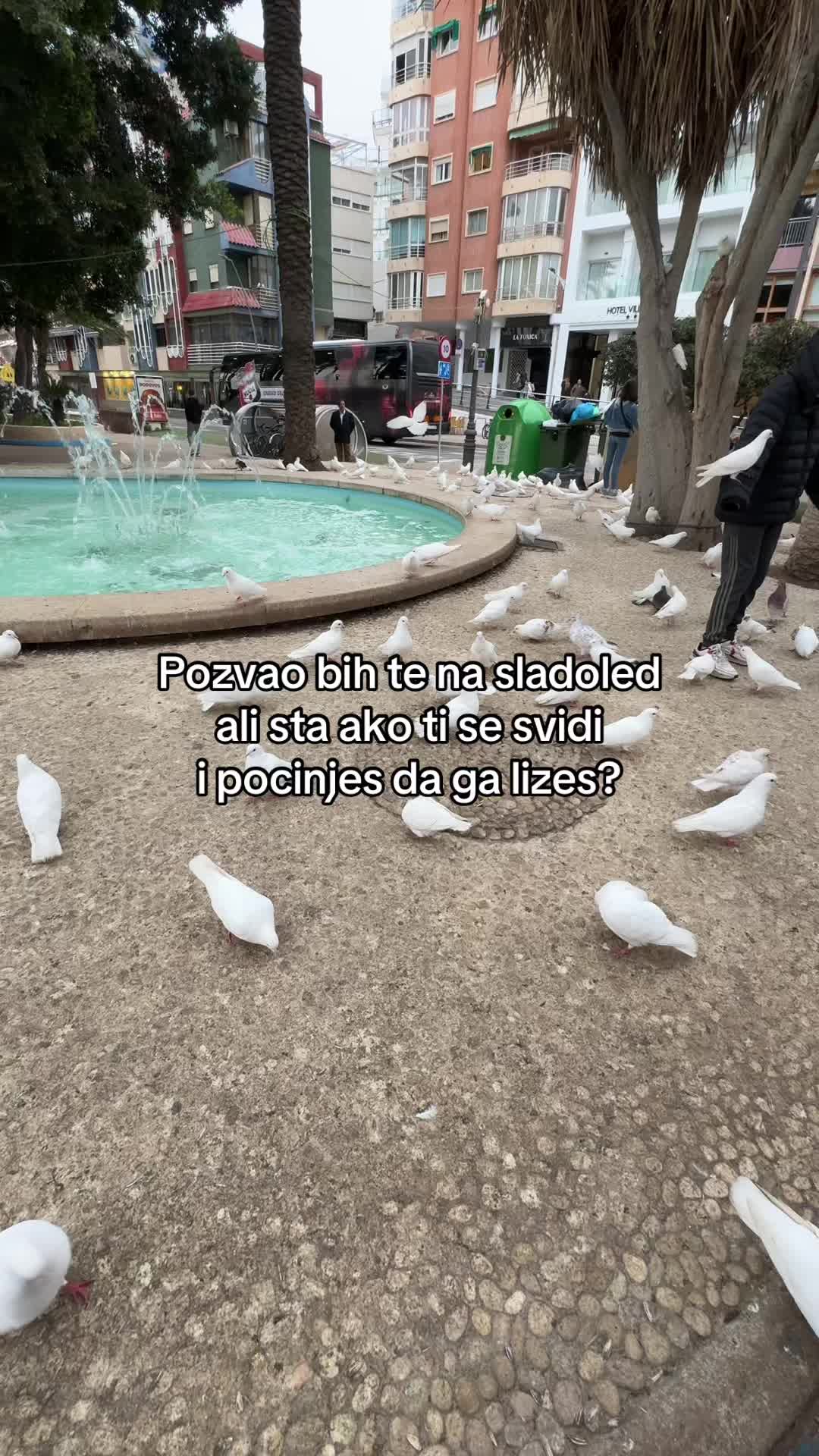 @dignichipbrate