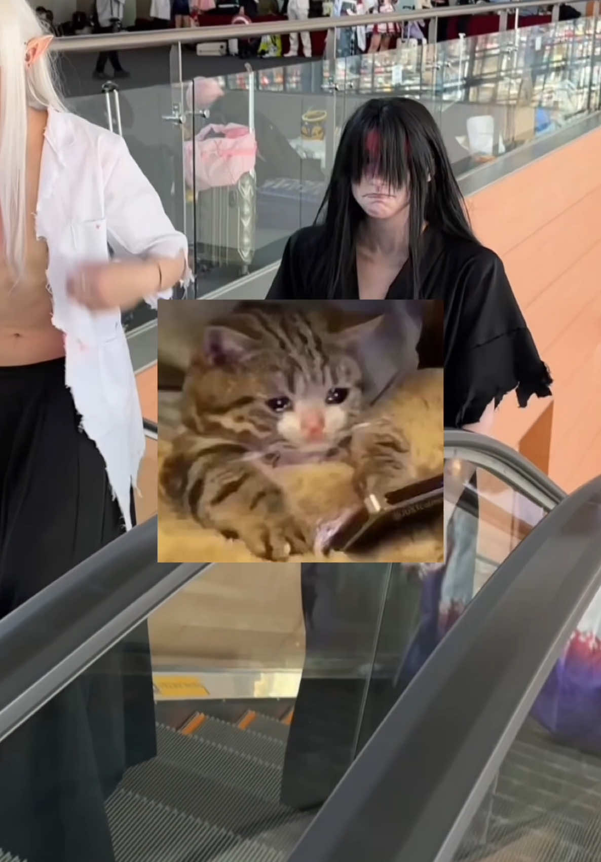 @Pink핑크