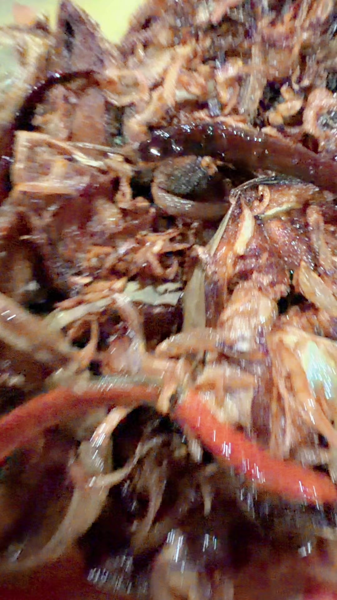 @Oronnoputul