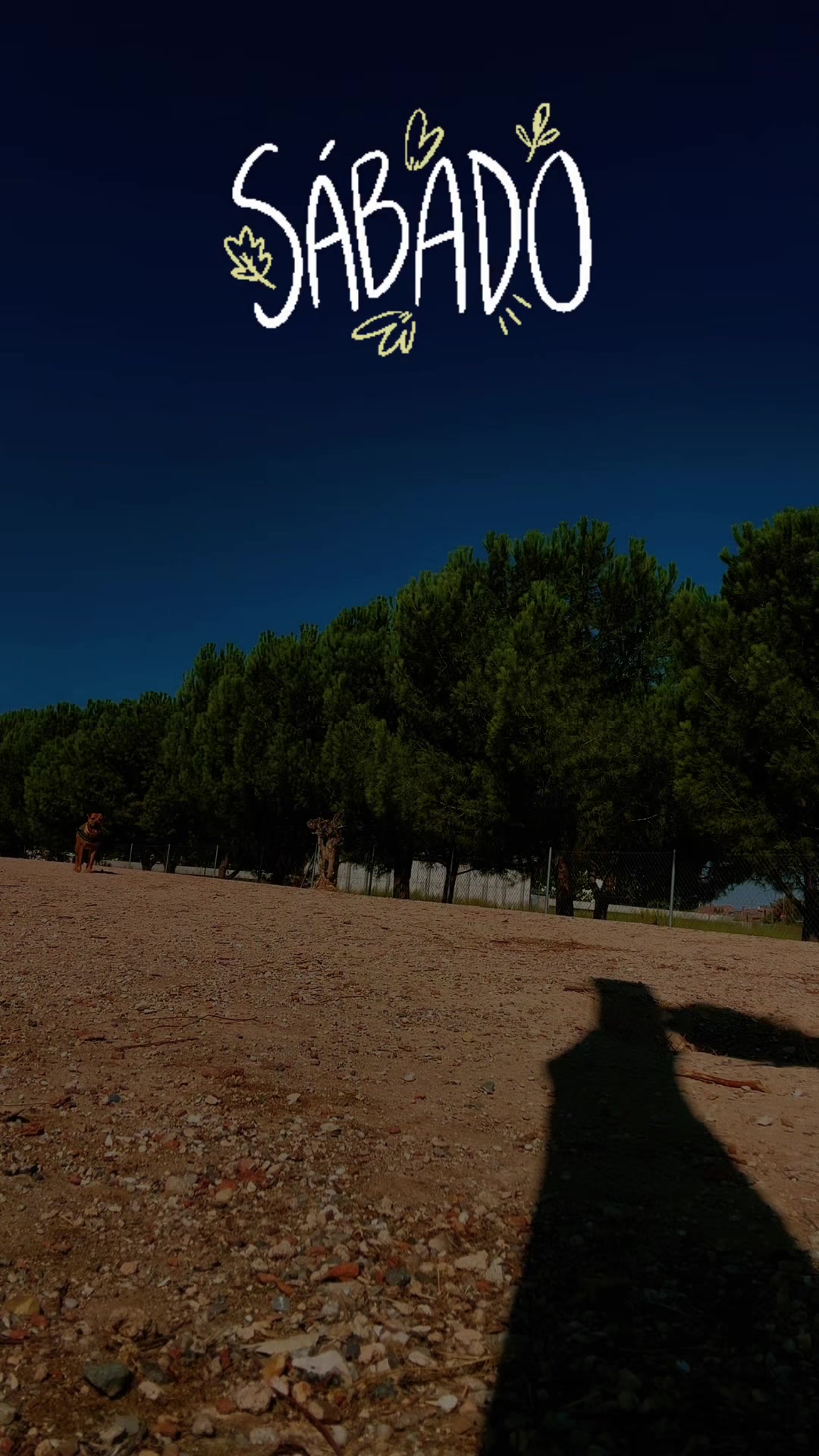 @Liber💋🥰