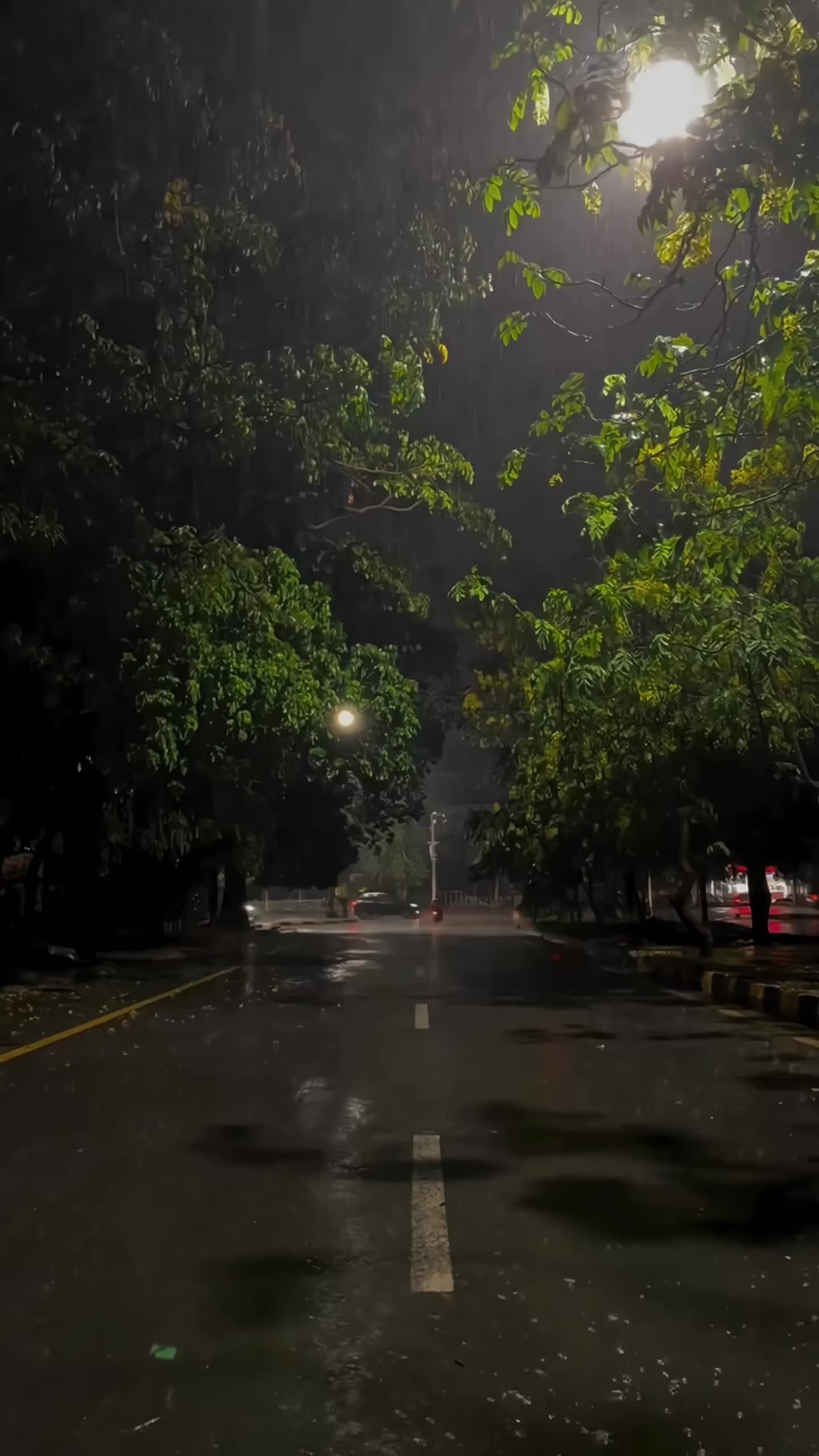 @Aesthetic