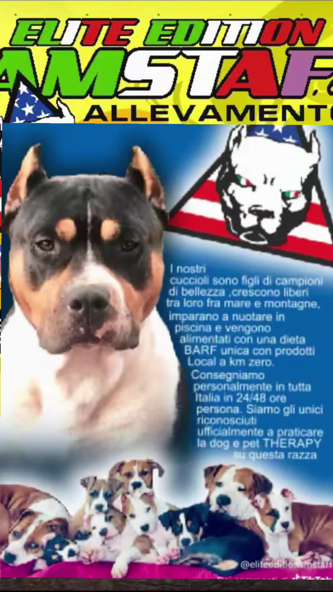 @enea2025