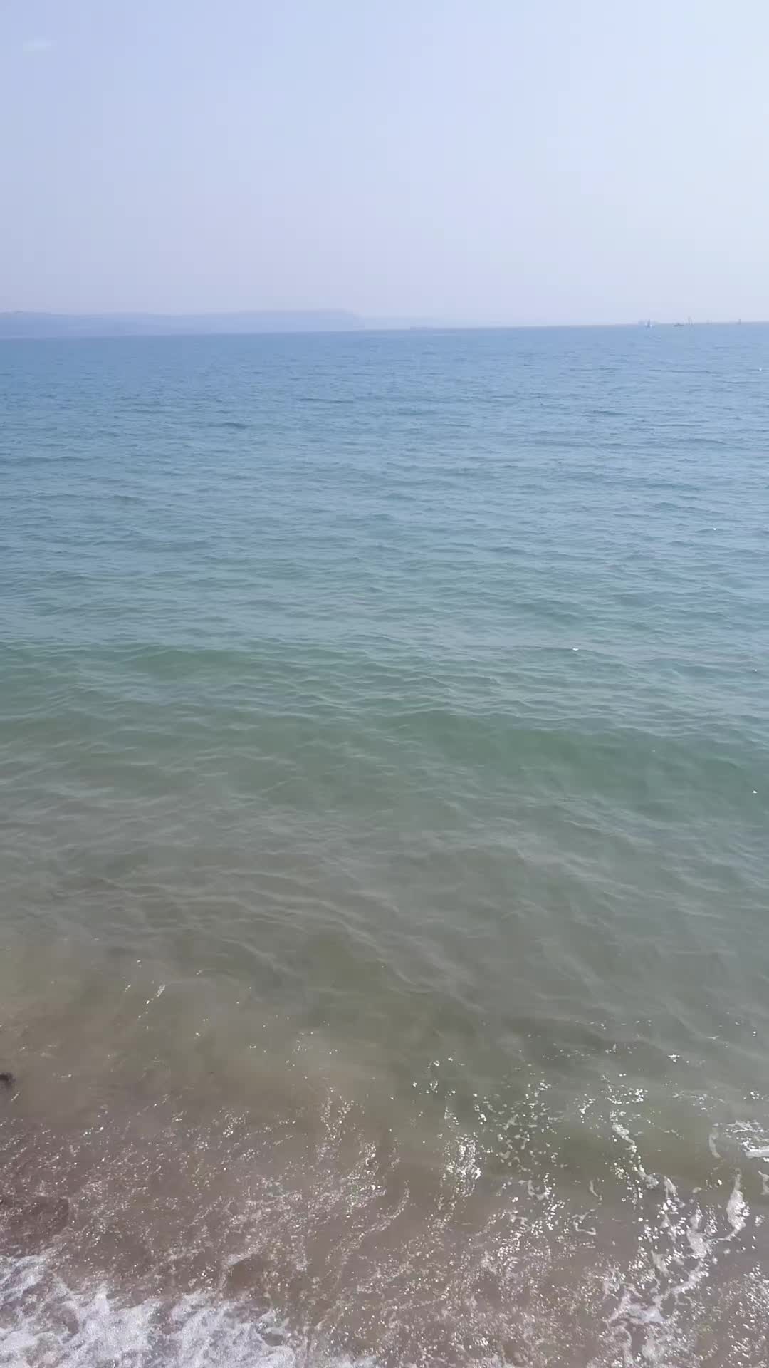@zouhir