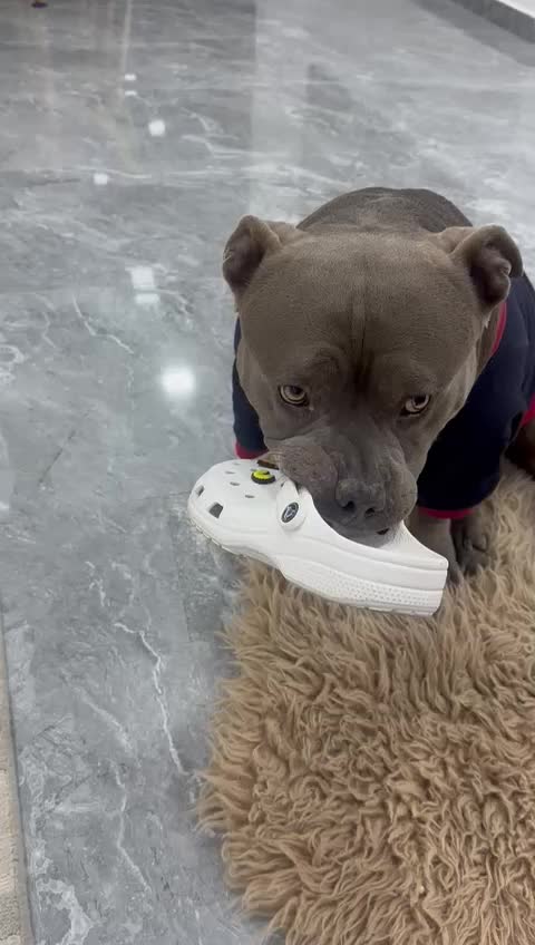 @Moncho_na_na