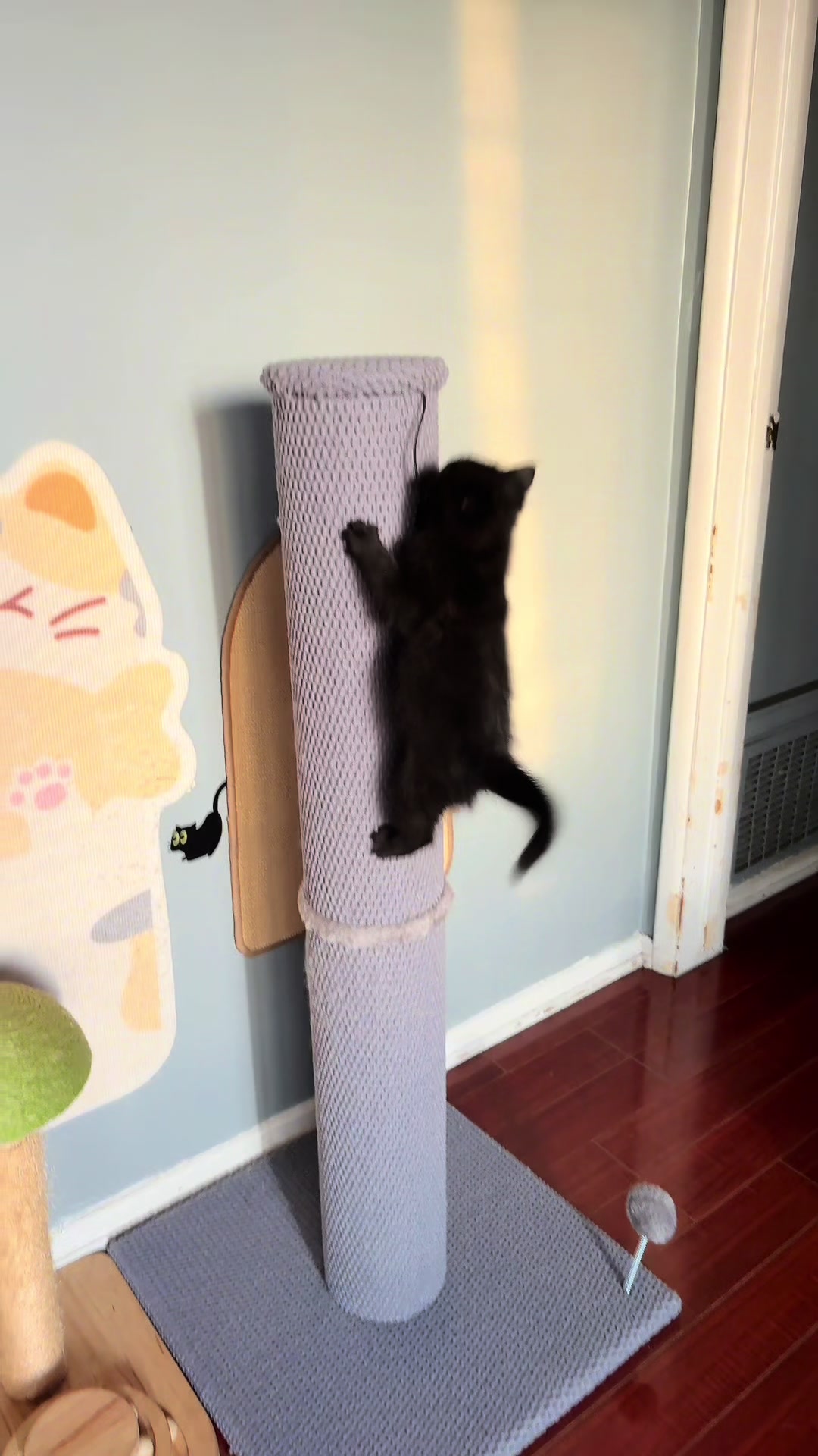 @Meowster_World
