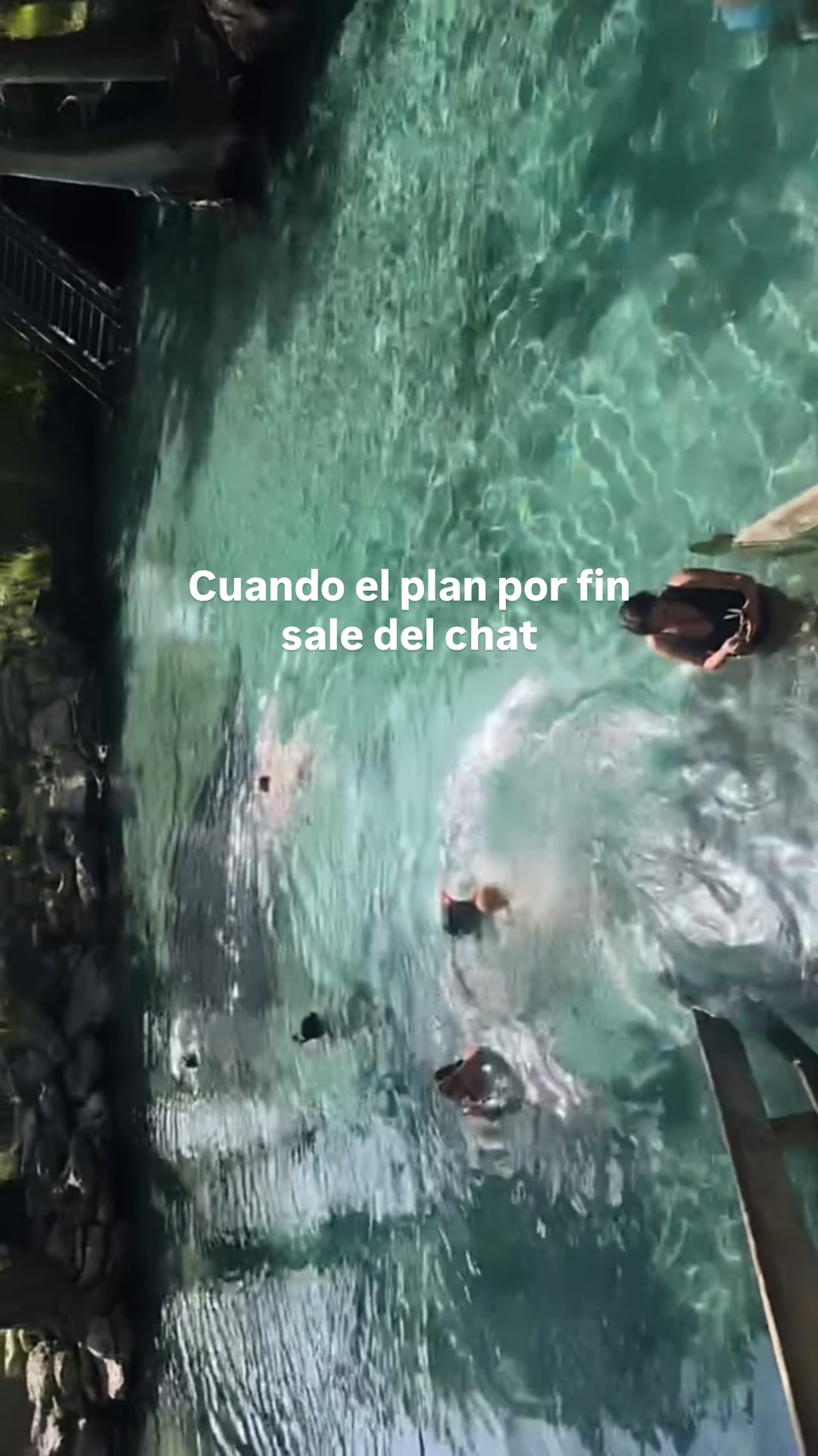 @Alma Carrasco