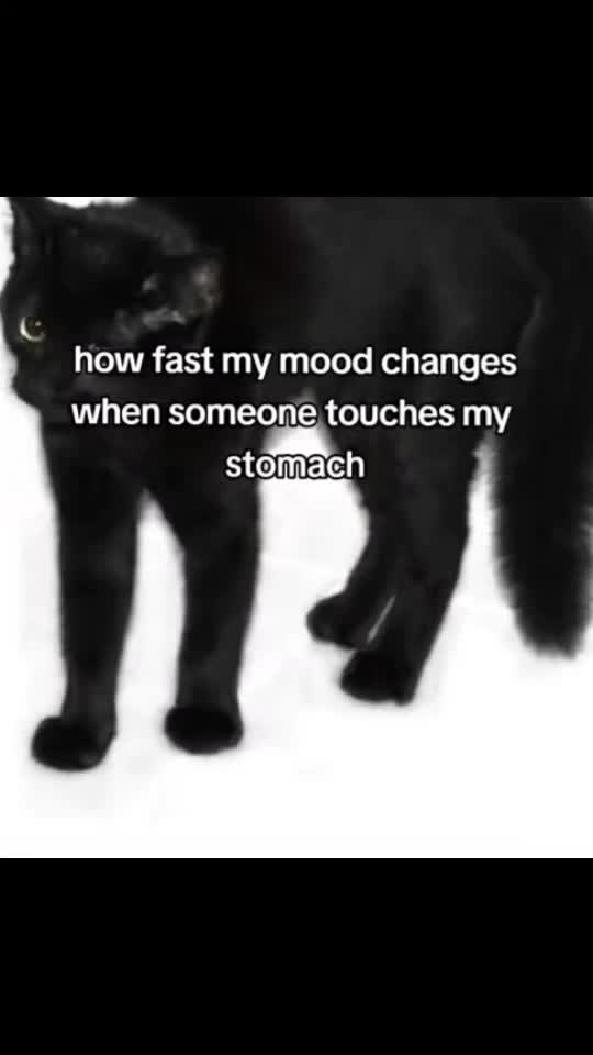 @⃟