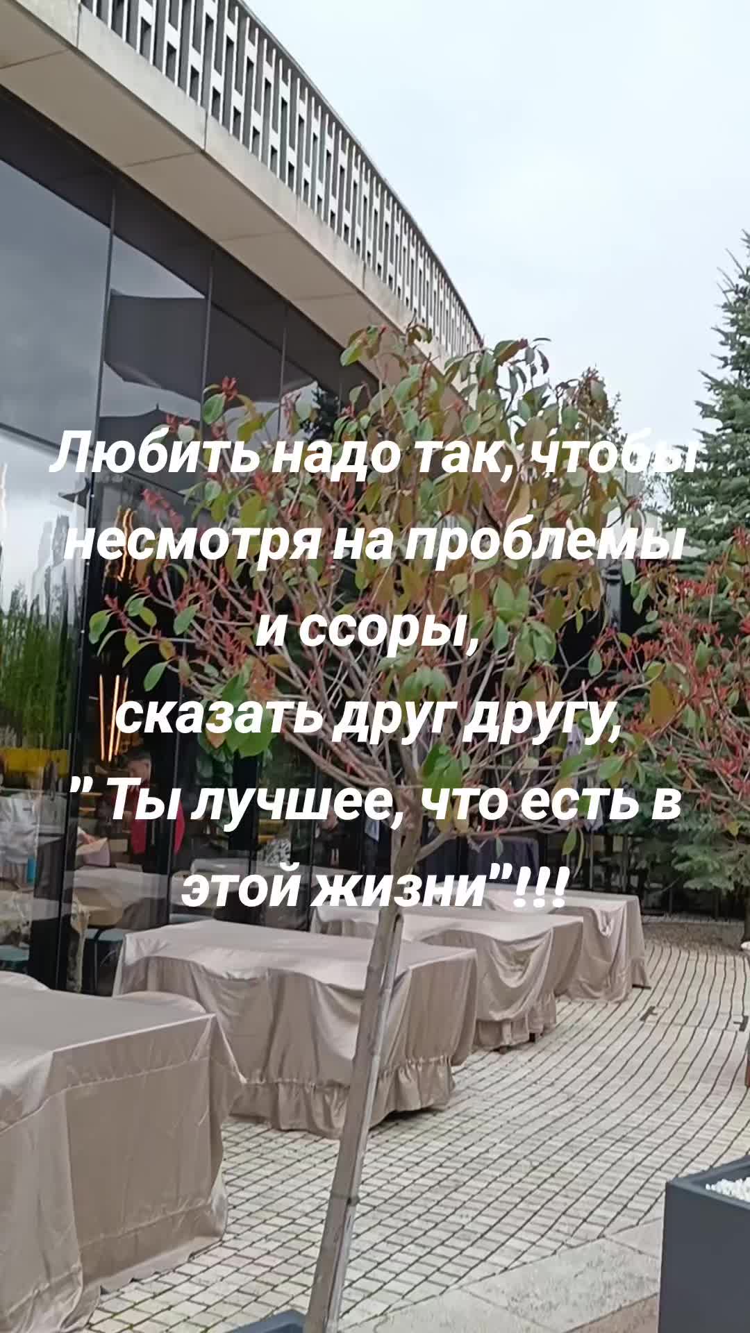 @yanozka