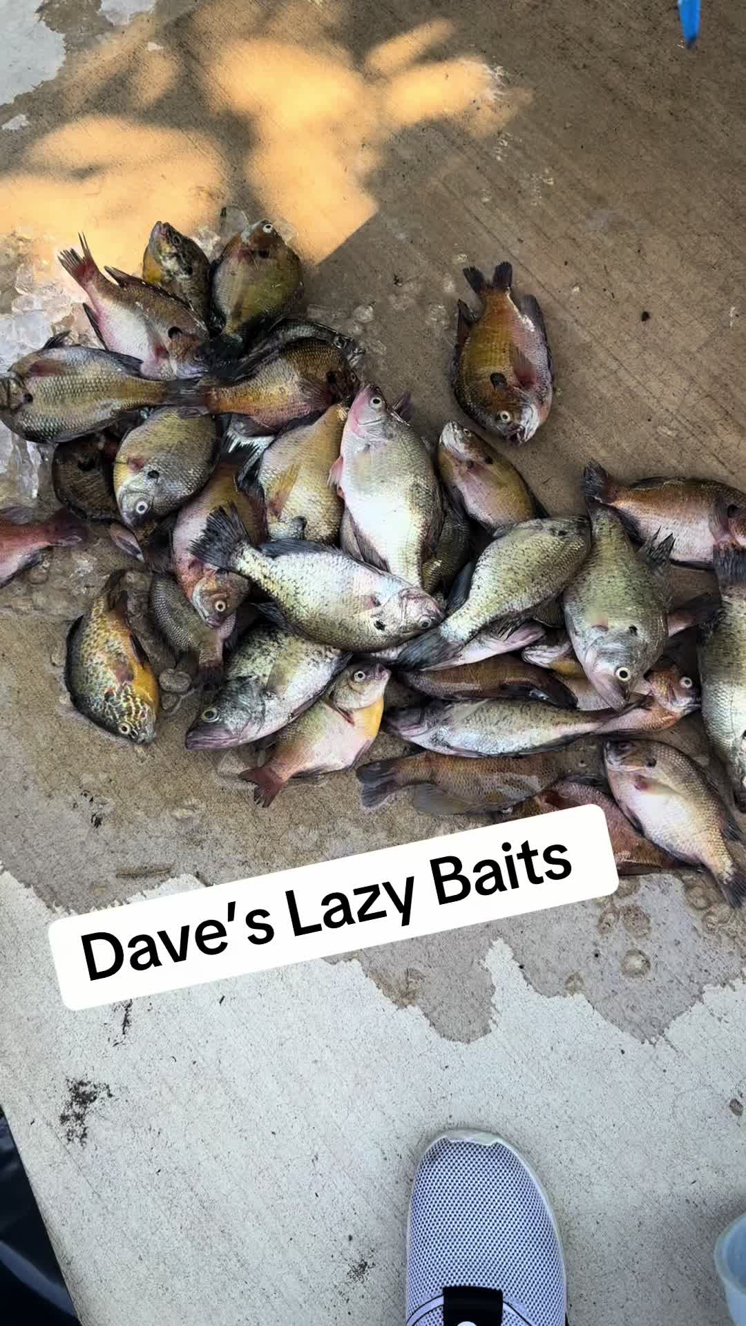 @Dave&rsquo;s Lazy Baits