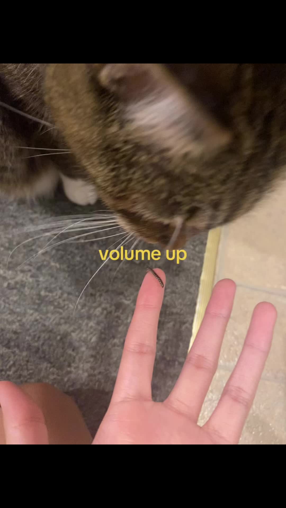 @natalie