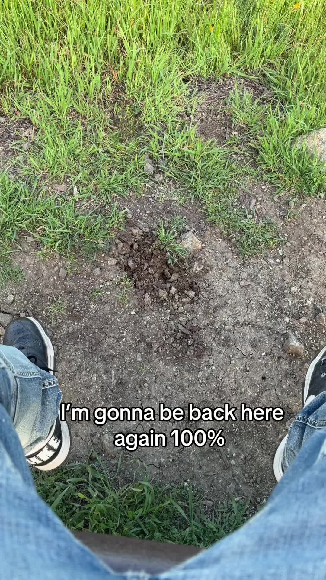 @UB.paul