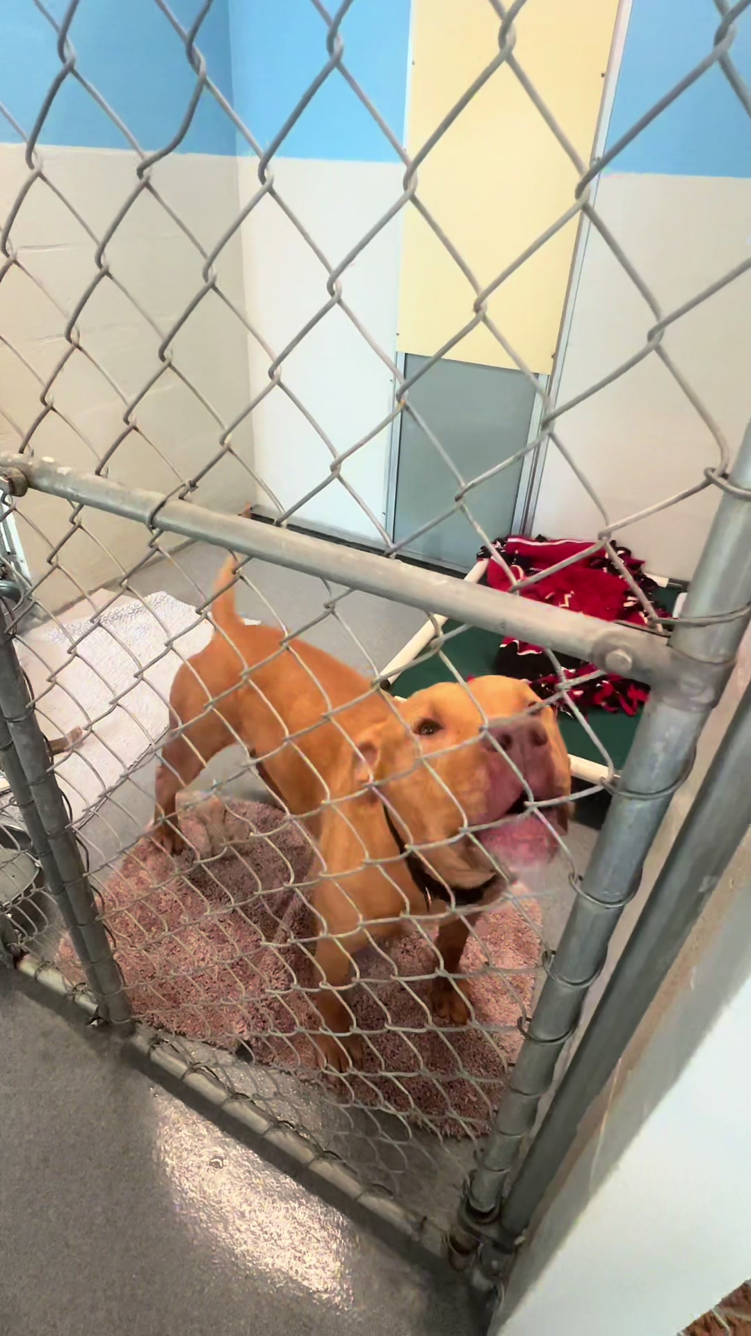 @Vanderburgh Humane Society