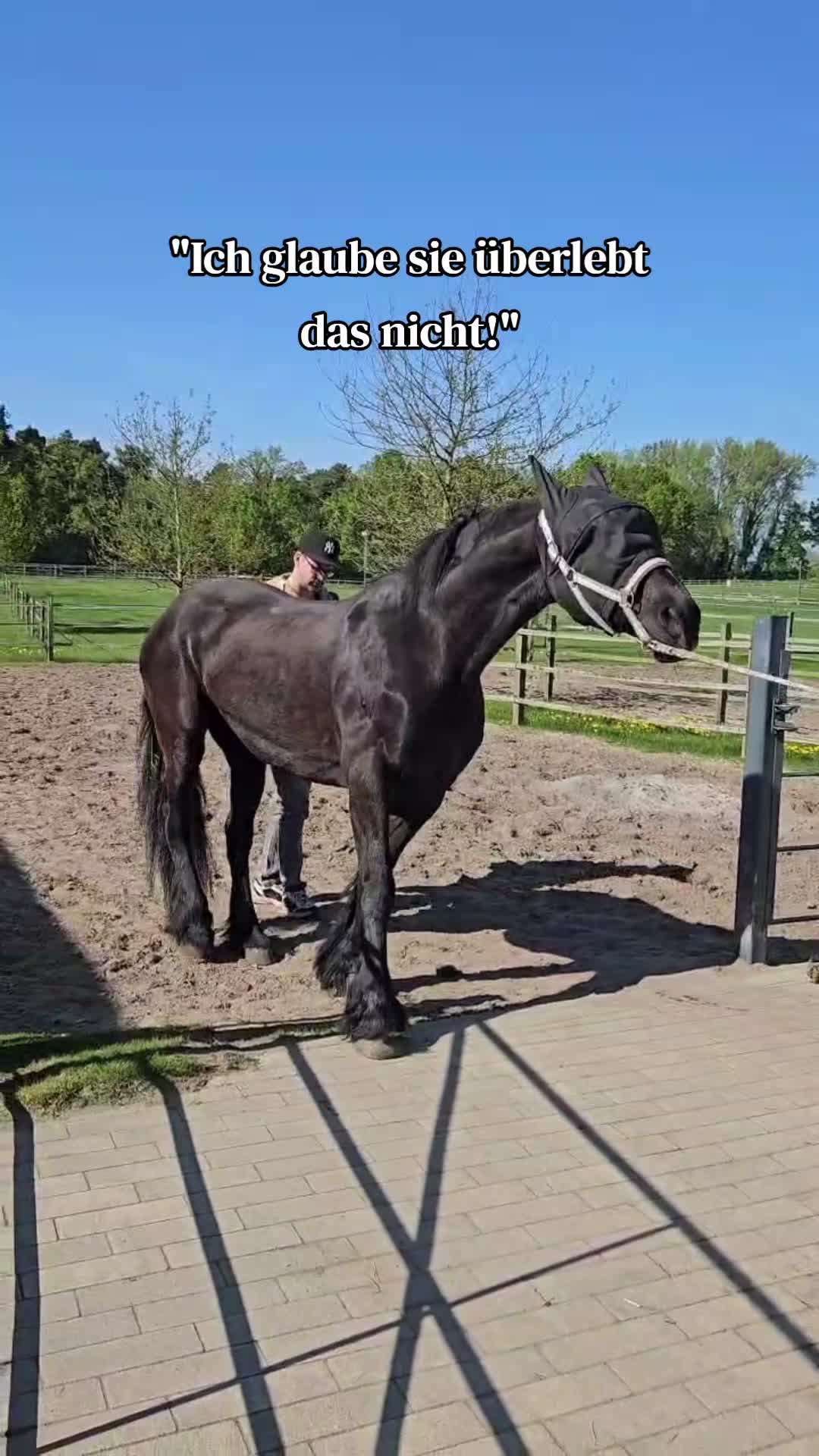 @Soñador
