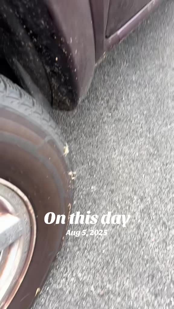 @Tow_Ninja68❌