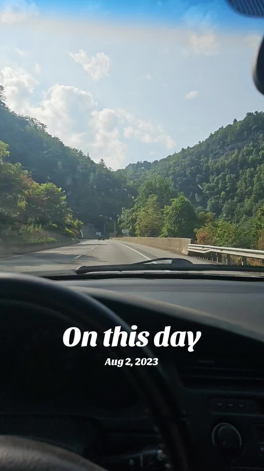 @bearly_Hi