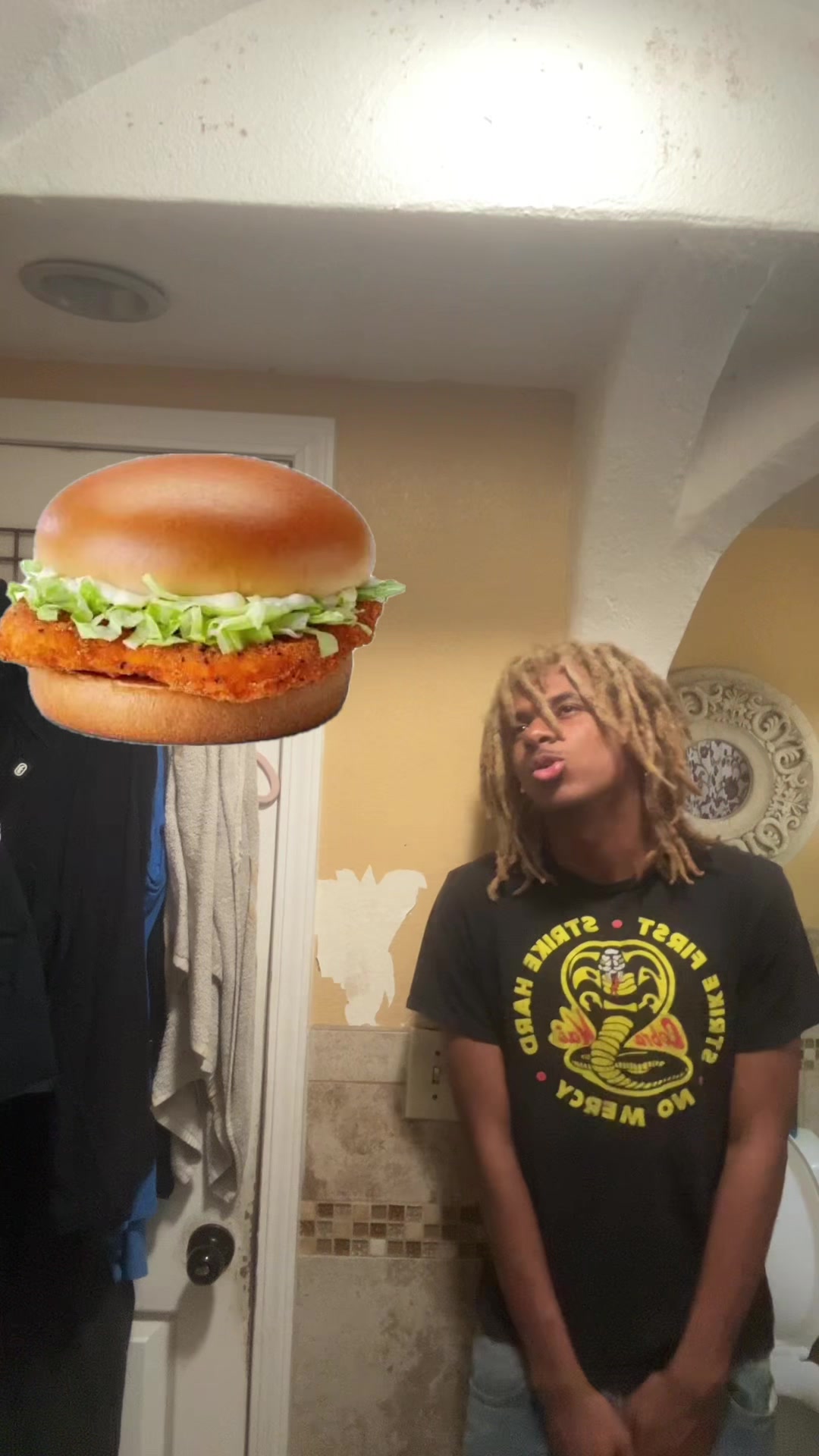 @ohbabyilovemcchickens