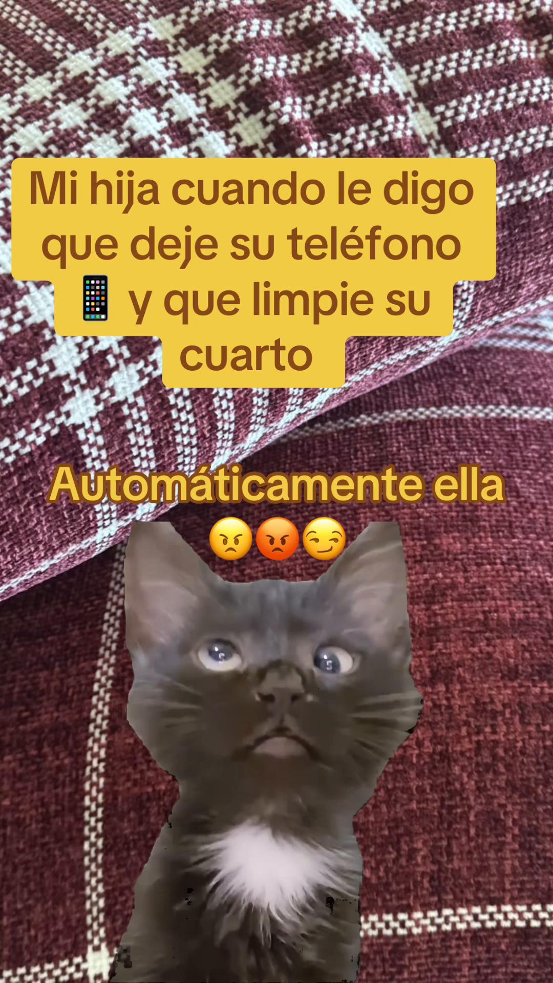 @PAULINA GUTIERREZ 🌹🍀💐🪷🥀