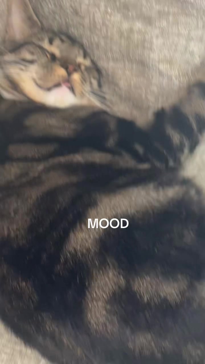 @Taka