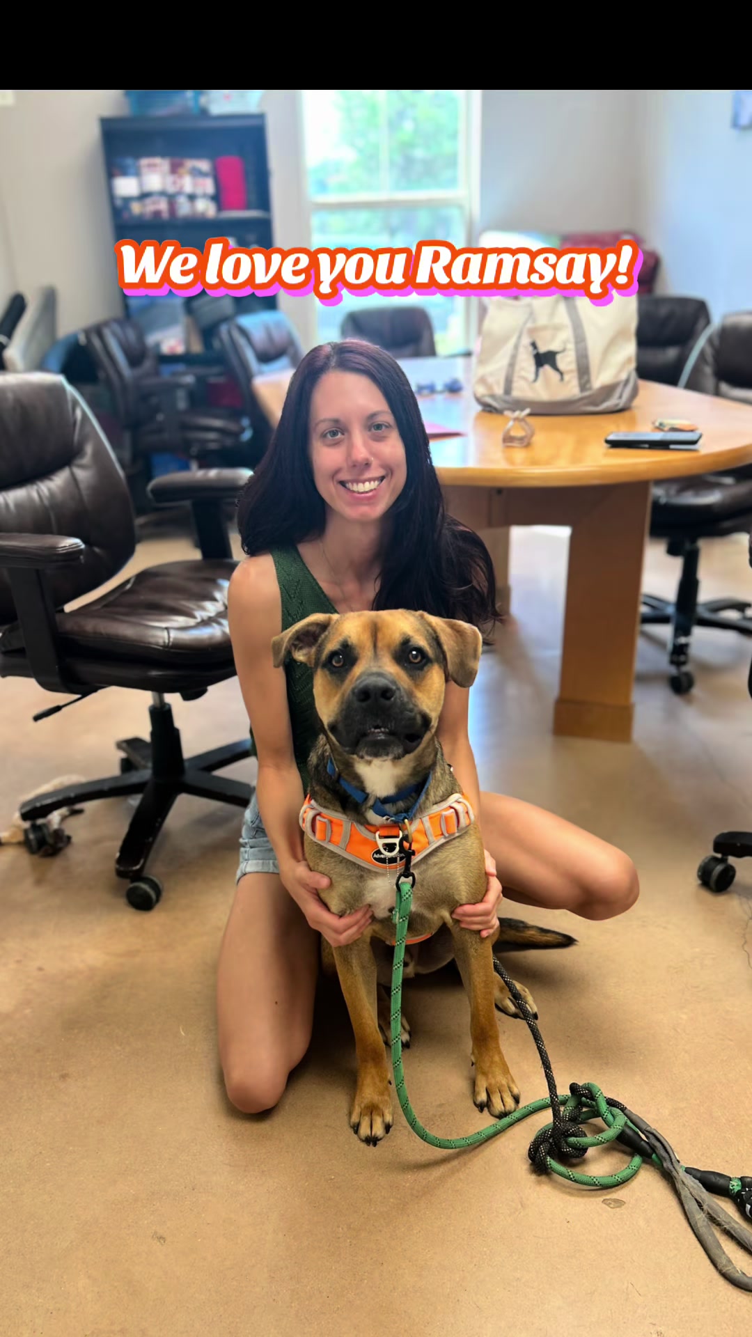 @PAWS Shelter