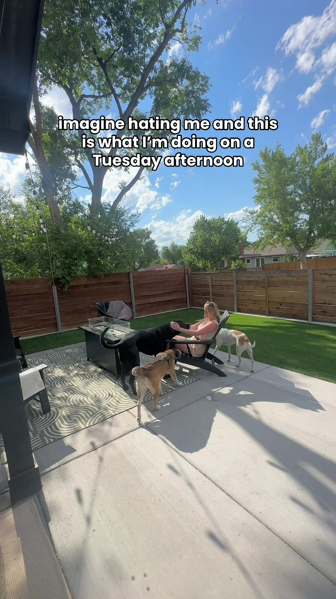 @Taylor + 4 dogs ๐ฉ๐ผ๐ถ๐ถ๐ถ๐ถ