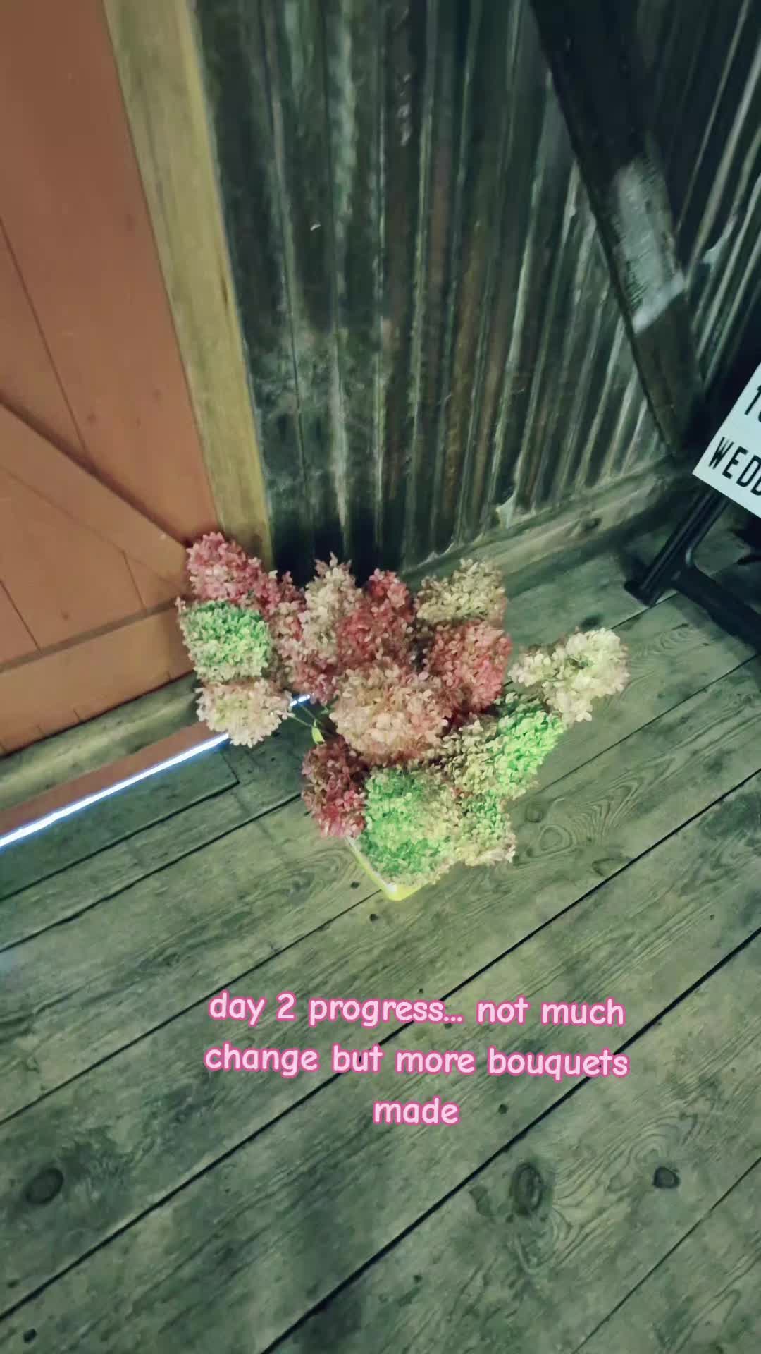 @Kæ Mack💙